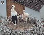 Capi_Dubne_20260712_190503.jpg