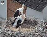 Capi_Dubne_20260712_191004.jpg