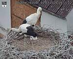 Capi_Dubne_20260712_191502.jpg