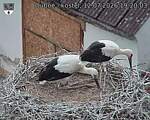 Capi_Dubne_20260712_192003.jpg