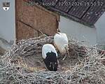 Capi_Dubne_20260712_195002.jpg