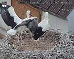 Capi_Dubne_20260712_195503.jpg