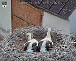 Capi_Dubne_20260712_200503.jpg