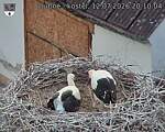Capi_Dubne_20260712_201004.jpg