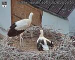 Capi_Dubne_20260712_202003.jpg