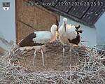 Capi_Dubne_20260712_202503.jpg
