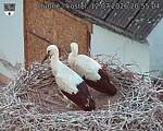 Capi_Dubne_20260712_205504.jpg