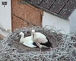 Capi_Dubne_20260712_211004.jpg