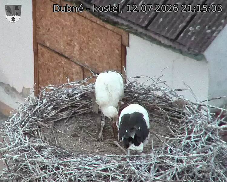 preload