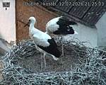 Capi_Dubne_20260712_212503.jpg