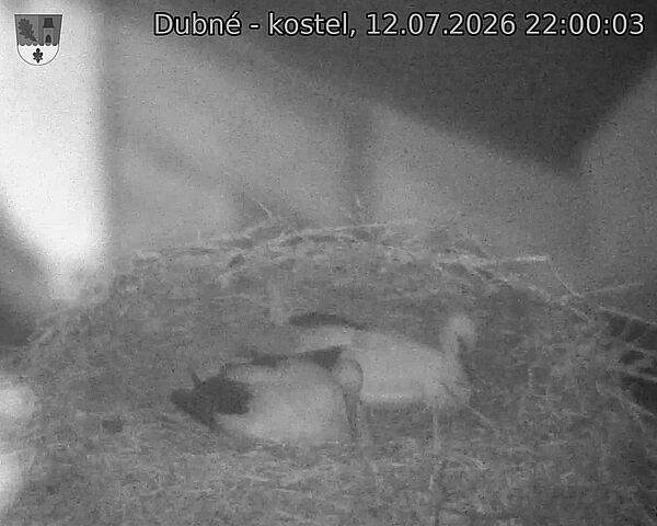 Capi_Dubne_20260712_220003.jpg (1350&nbsp;x&nbsp;1080)