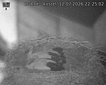 Capi_Dubne_20260712_222502.jpg
