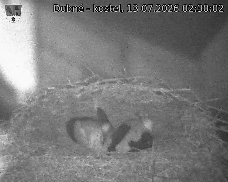preload