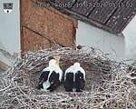 Capi_Dubne_20260713_051502.jpg