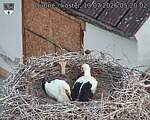 Capi_Dubne_20260713_052002.jpg
