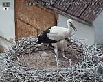 Capi_Dubne_20260714_143003.jpg
