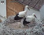 Capi_Dubne_20260714_143503.jpg