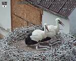 Capi_Dubne_20260714_144503.jpg
