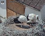Capi_Dubne_20260714_150503.jpg