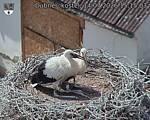 Capi_Dubne_20260714_151503.jpg