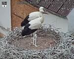 Capi_Dubne_20260714_160003.jpg