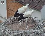 Capi_Dubne_20260714_160503.jpg