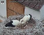 Capi_Dubne_20260714_164003.jpg