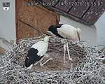 Capi_Dubne_20260714_165503.jpg