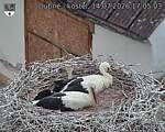 Capi_Dubne_20260714_170503.jpg