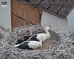 Capi_Dubne_20260714_171003.jpg