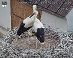Capi_Dubne_20260714_171505.jpg