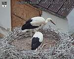 Capi_Dubne_20260714_172003.jpg