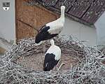 Capi_Dubne_20260714_172504.jpg