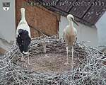 Capi_Dubne_20260714_173003.jpg