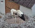 Capi_Dubne_20260714_173503.jpg