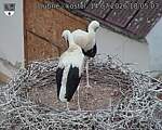 Capi_Dubne_20260714_180503.jpg
