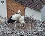 Capi_Dubne_20260714_183003.jpg