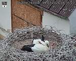 Capi_Dubne_20260714_183503.jpg