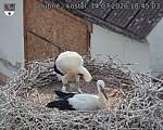 Capi_Dubne_20260714_184503.jpg