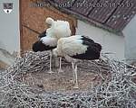 Capi_Dubne_20260714_185503.jpg