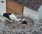 Capi_Dubne_20260714_193503.jpg