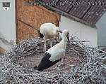 Capi_Dubne_20260714_194003.jpg
