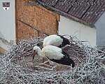 Capi_Dubne_20260714_194503.jpg