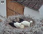 Capi_Dubne_20260714_200003.jpg