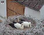 Capi_Dubne_20260714_200503.jpg