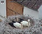 Capi_Dubne_20260714_201003.jpg