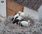 Capi_Dubne_20260714_202003.jpg
