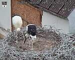 Capi_Dubne_20260714_202503.jpg