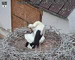 Capi_Dubne_20260714_203503.jpg