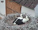 Capi_Dubne_20260714_204003.jpg